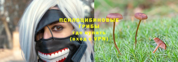 соль ск Зеленодольск