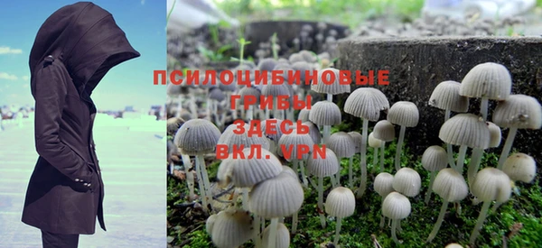 дмт Зеленокумск