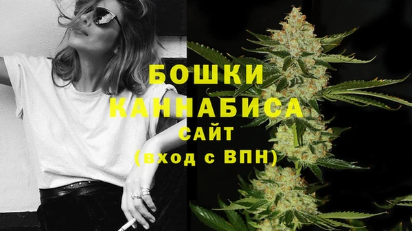 соль ск Зеленодольск