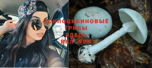 соль ск Зеленодольск