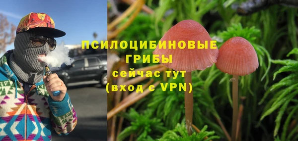 молекула духа Зерноград