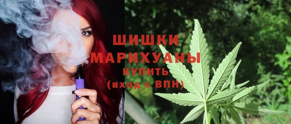 молекула духа Зерноград